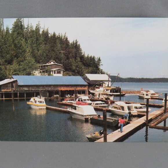 Vintage Postcard - Telegraph Cove Harbour - Northern Island Studios - Picture 1 of 4